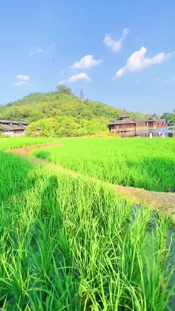 家人们，最近惠州中海汤泉瀑布又火出圈了！刚才，就像诗里写的“白水飞虹带雨来” 。这里还是苏东坡三游之地，留下过“一洗胸中九云梦”的名句。感兴趣的宝子赶紧冲！#惠州中海汤泉酒店#自联盟